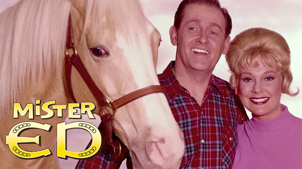 Mister Ed serial aktorzy na planie