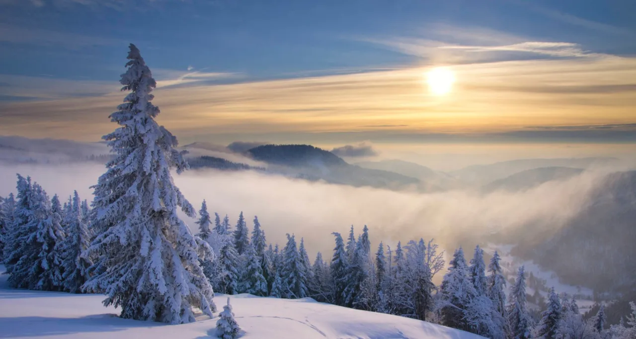 Feldberg Schwarzwald Panorama Sommer Winter Aktivitäten