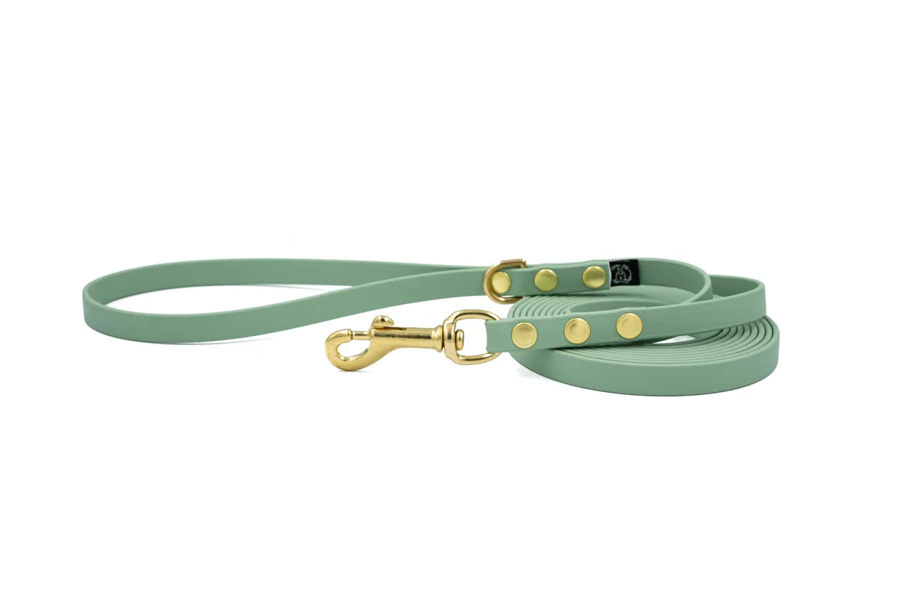 Por&oacute;wnanie materiał&oacute;w smyczy dla psa: nylon sk&oacute;ra biothane