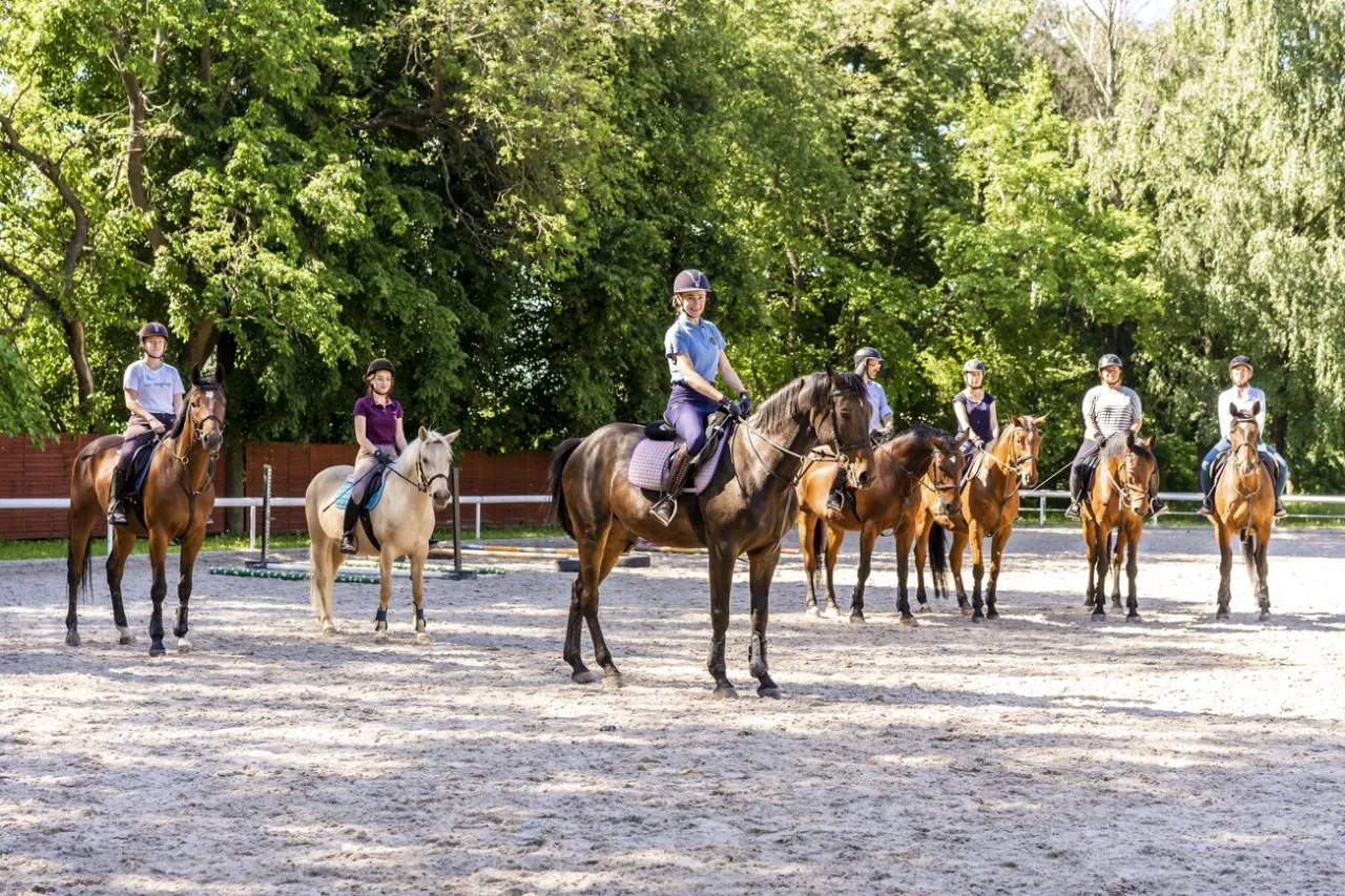 student hipologia jeździectwo uczelnia