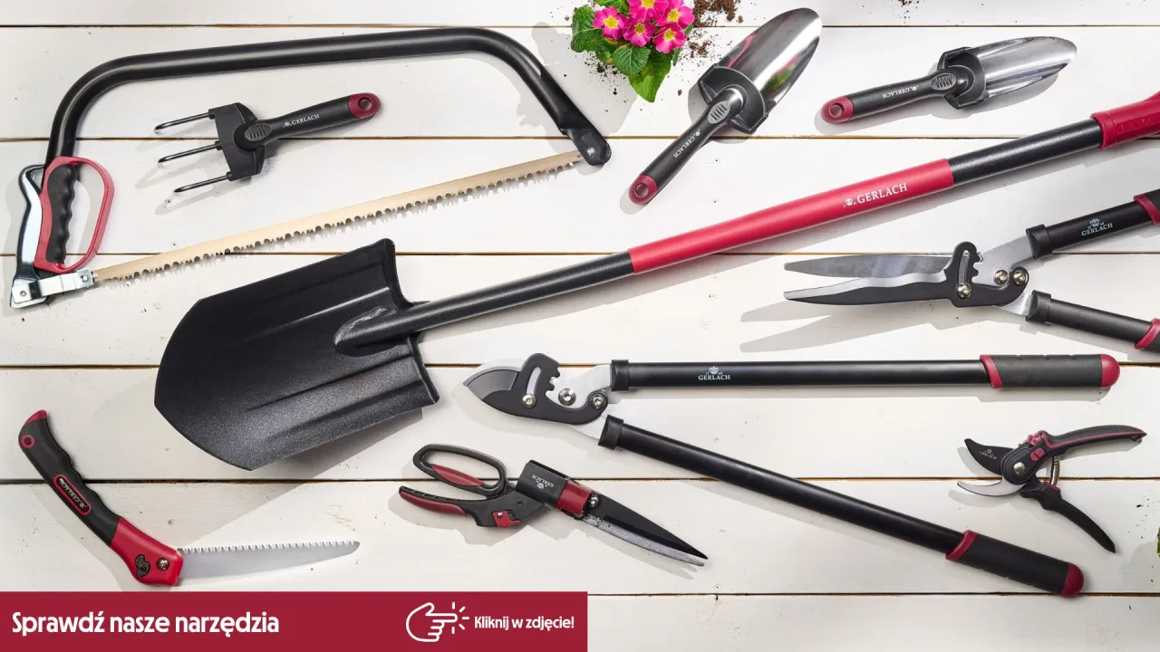 Narzędzia ogrodnicze Gerlach: łopata, sekatory, piła. Idealne do prac, kiedy i jak przycinać róże.
