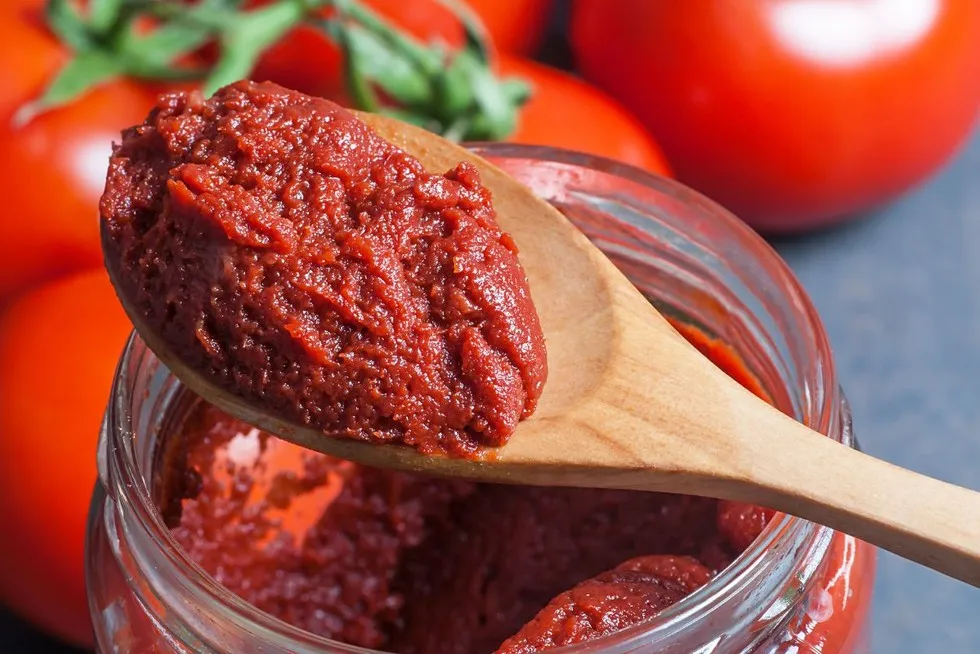 łyżki koncentratu pomidorowego w miseczce, obok świeże pomidory