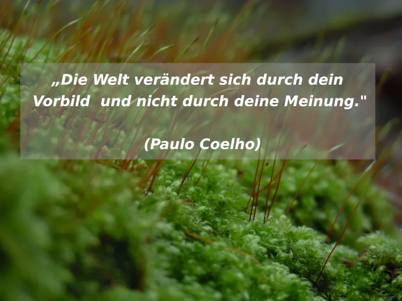 Umwelt Zitate thematisch geordnet