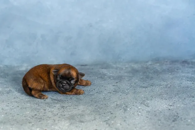 nowonarodzone szczenięta z zamkniętymi oczami