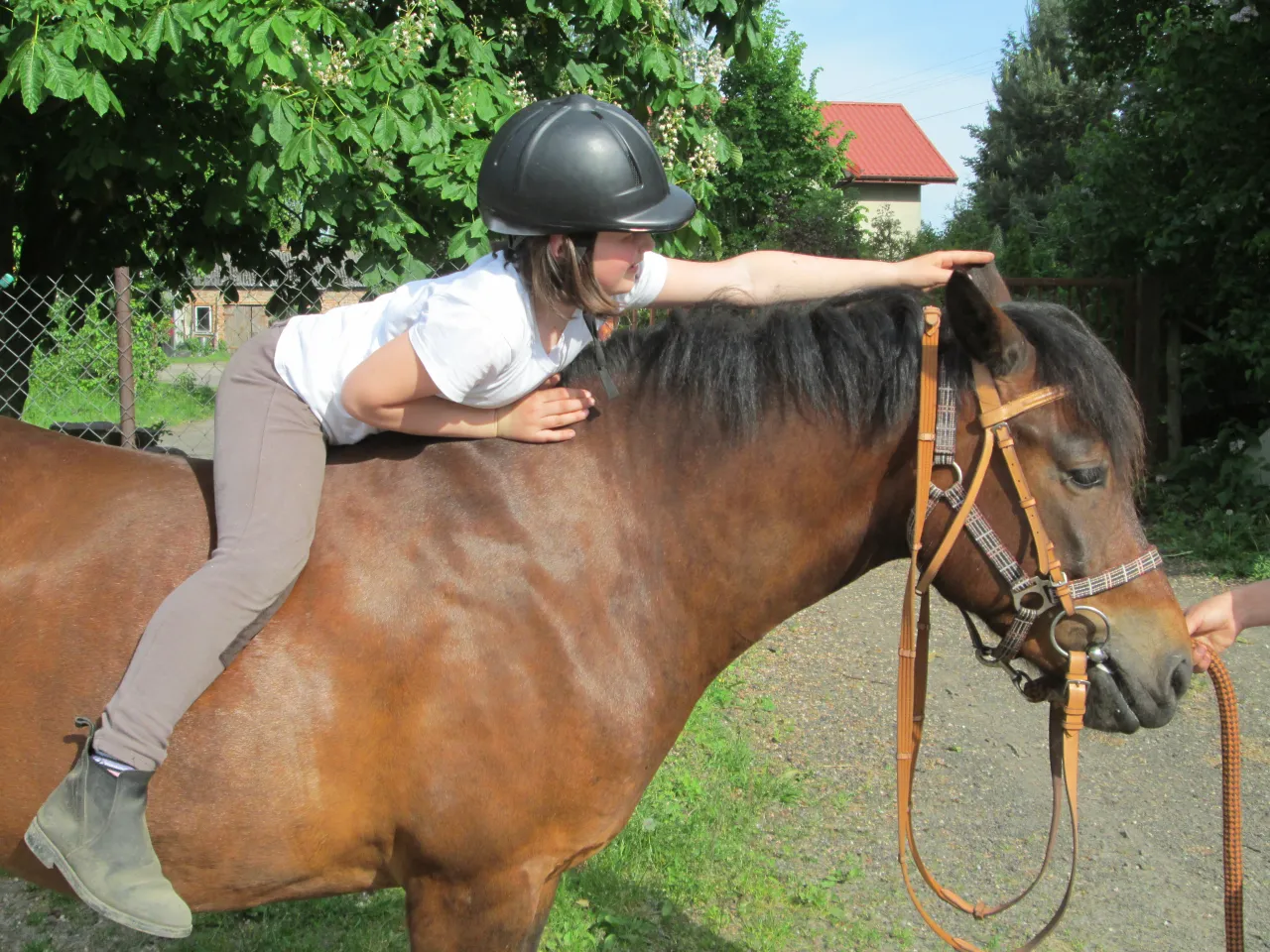 Strój do jazdy konnej dla początkujących