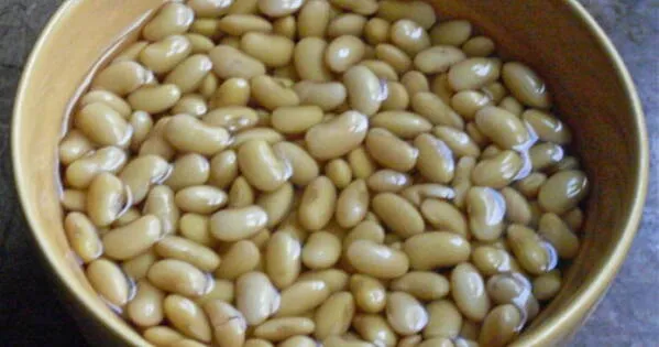 moczenie fasoli lub zioła do fasoli