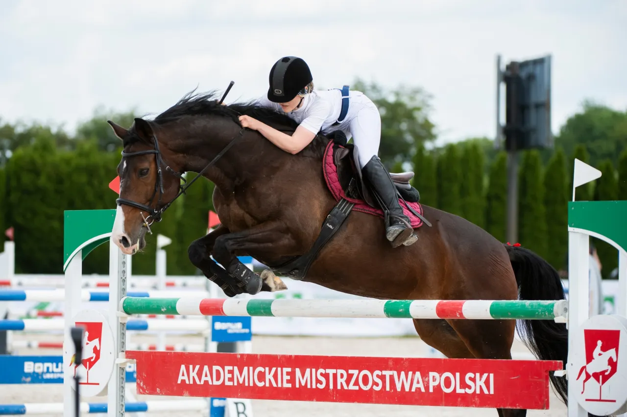 hipologia jeździectwo śląsk pasja kariera