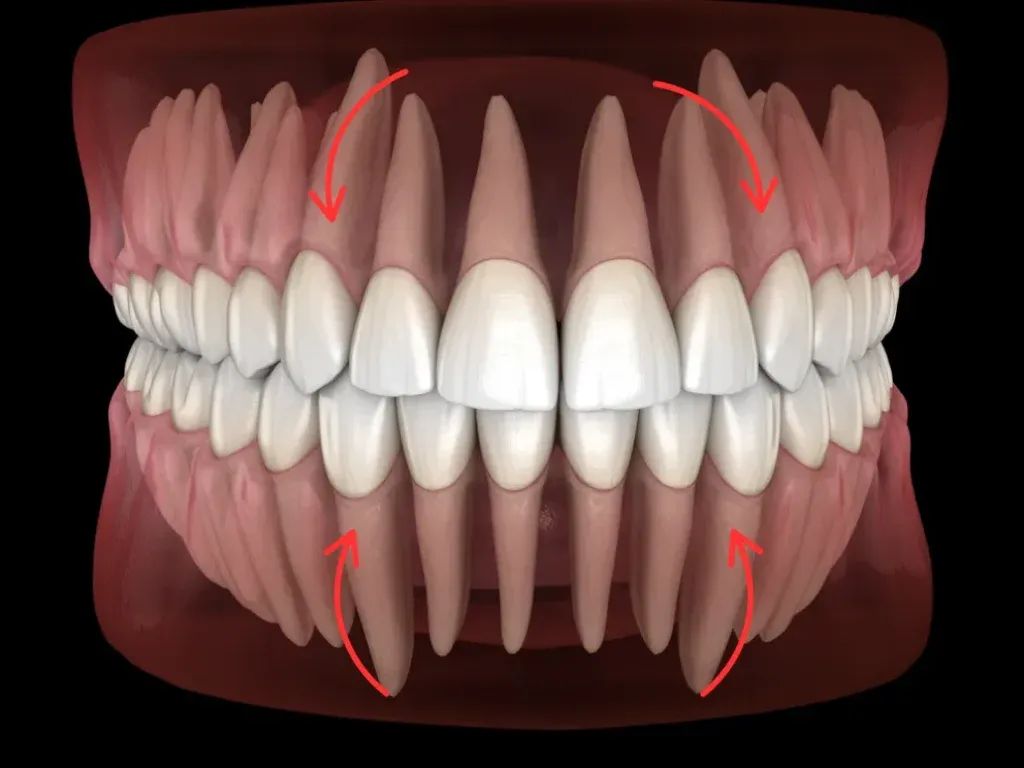kalendarz ząbkowania zębów mlecznych infografika