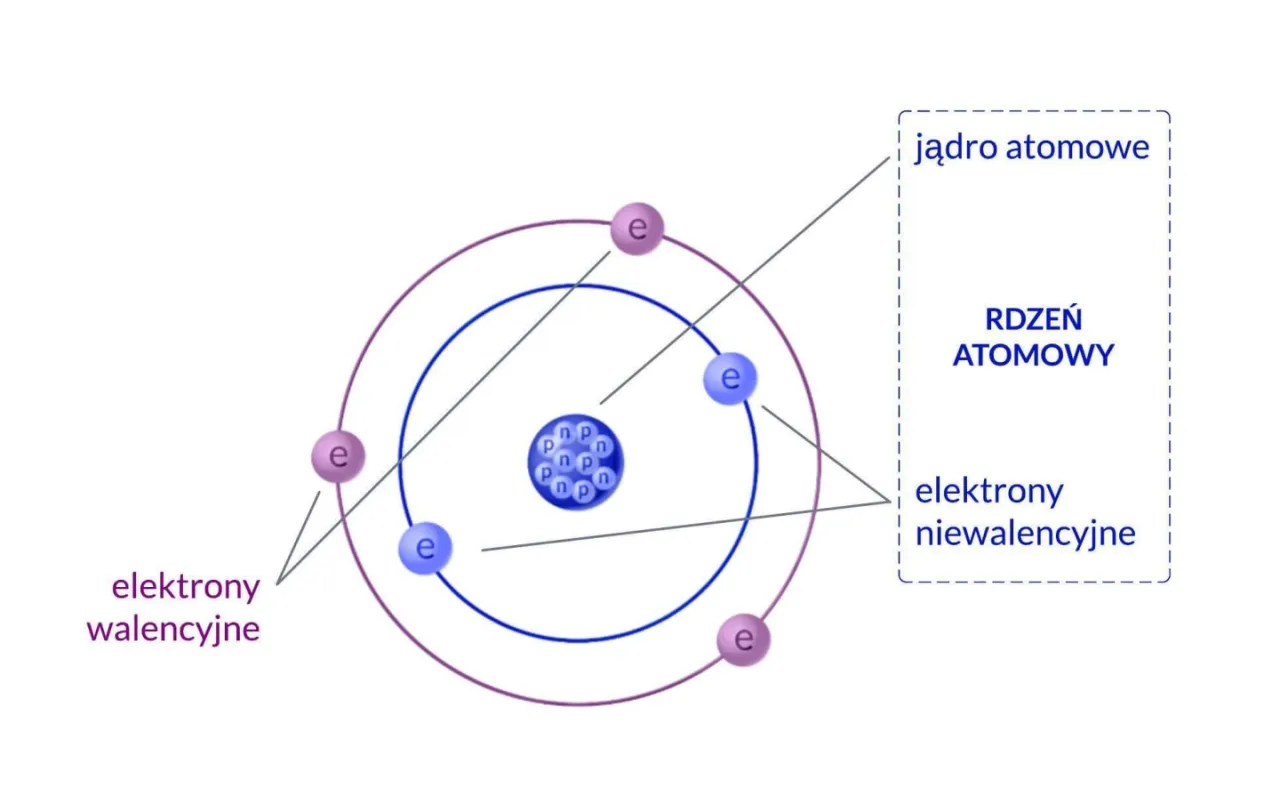 schemat budowy atomu z jądrem i elektronami