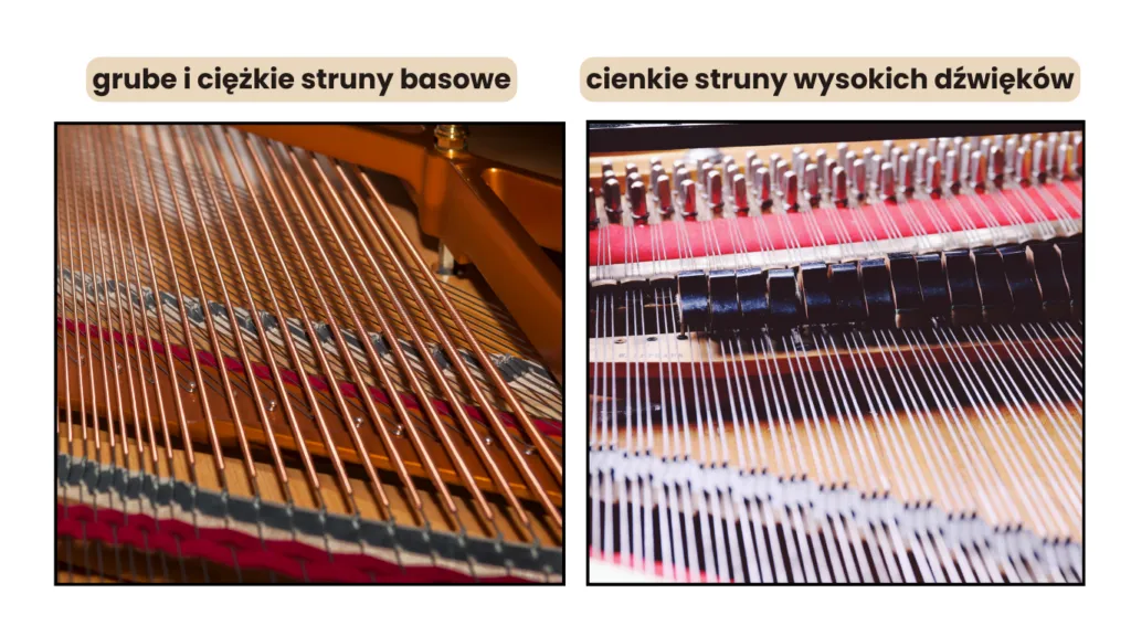 Rodzaje klawiatur instrumentów klawiszowych dynamiczna ważona półważona