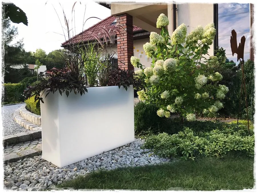 Kompozycja roślin w wysokiej donicy z trawami ozdobnymi