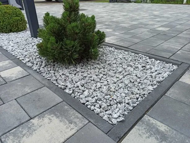 Grys ozdobny do ogrodu