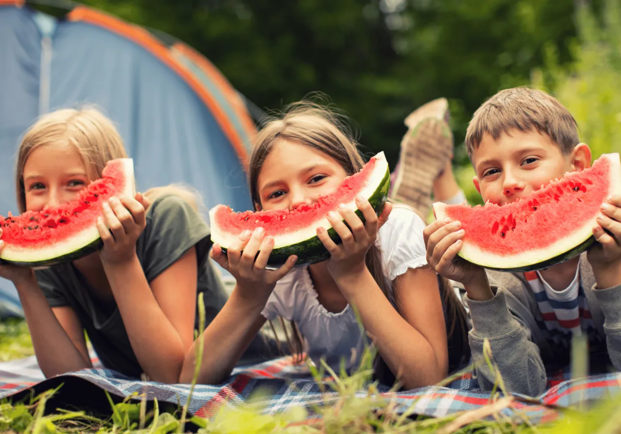 Alergia na arbuza infografika