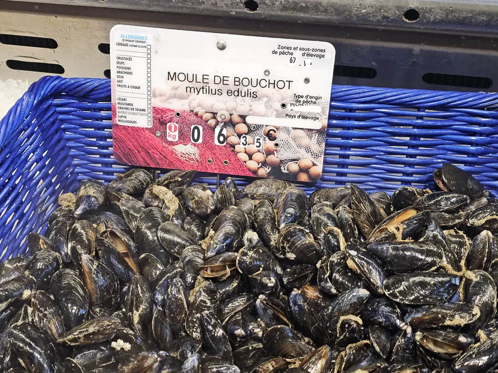 Moules fraîches sur étal de marché ou dans un filet