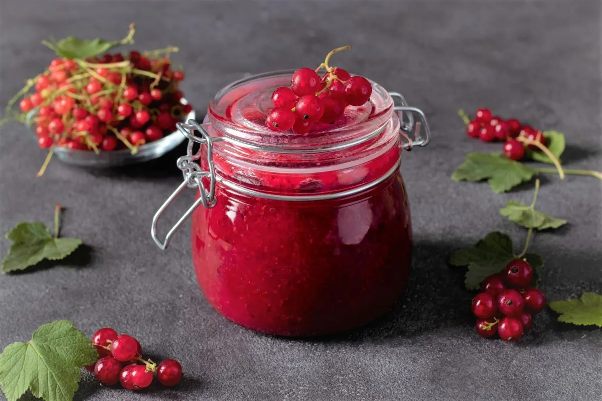 Świeże czerwone porzeczki w misce