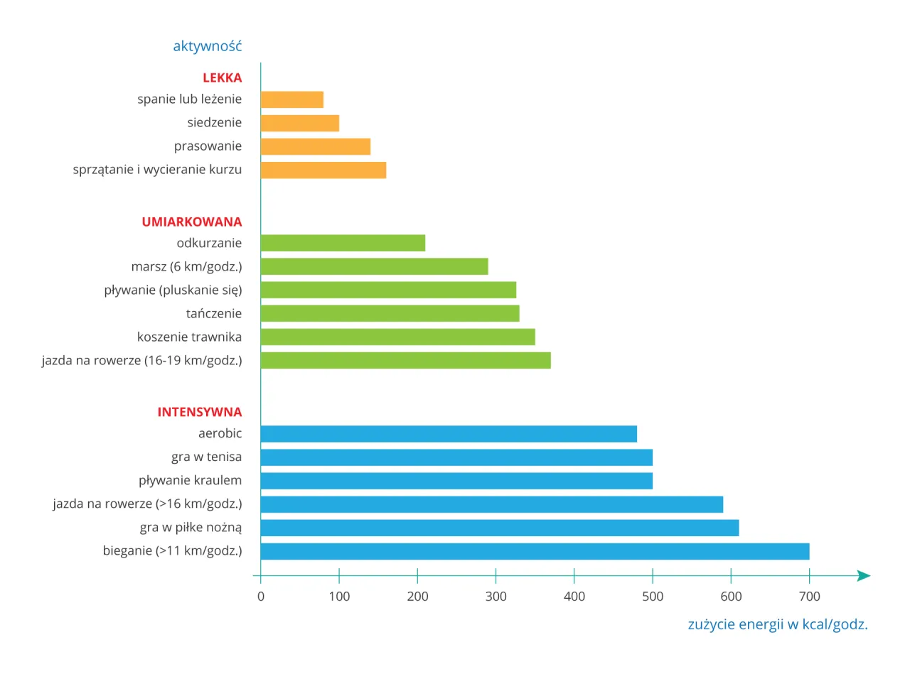 Infografika zalecenia WHO aktywność fizyczna