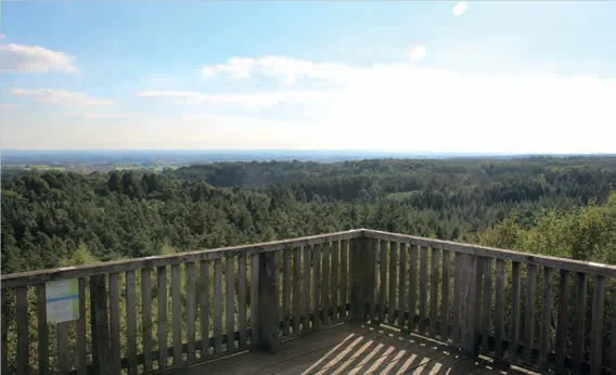Aussicht vom Turm Rasthof Dammer Berge Panorama