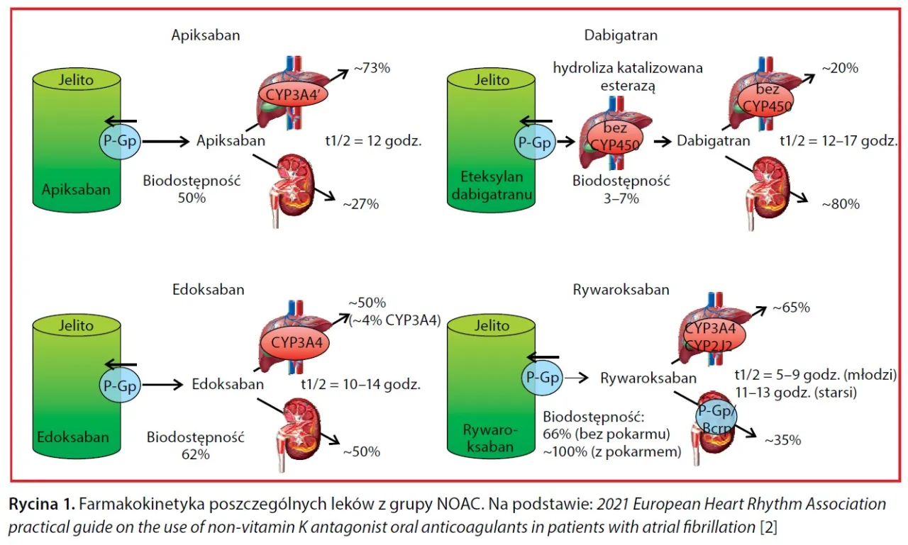 mechanizm działania lek&oacute;w przeciwzakrzepowych i przeciwpłytkowych