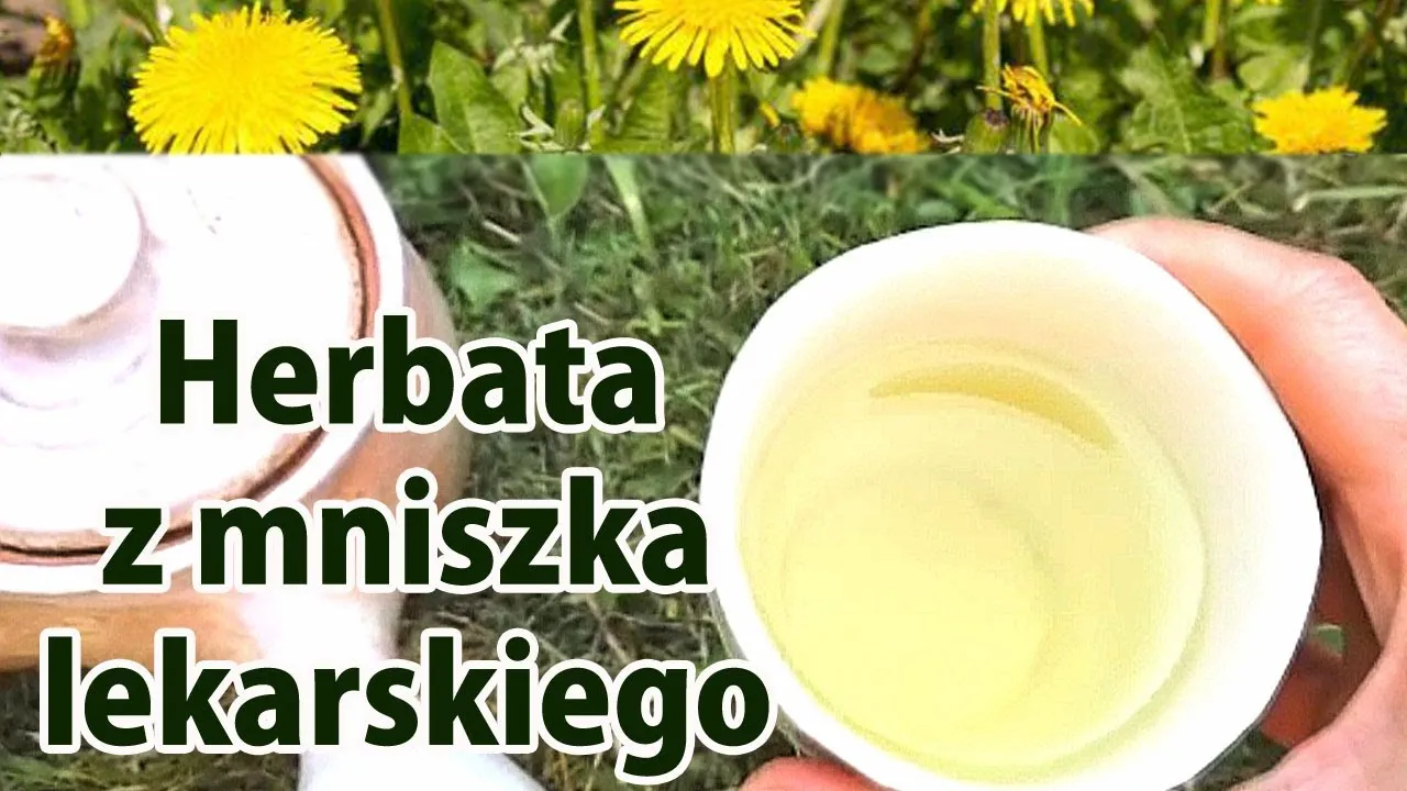 Zdjęcie Gdzie kupić herbatę z mniszka lekarskiego - najlepsze miejsca i porady zakupowe