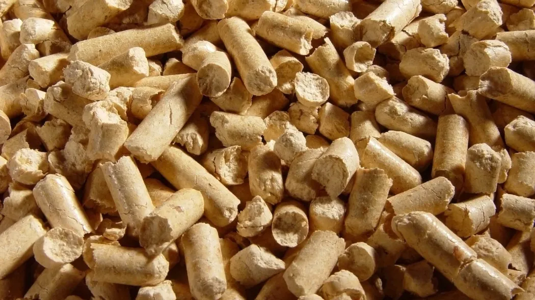 Zdjęcie Gdzie kupić pellet lubelskie? Sprawdź najlepsze oferty i ceny