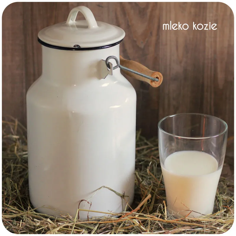 Zdjęcie Ile kosztuje litr mleka koziego w skupie? Ceny, które Cię zaskoczą