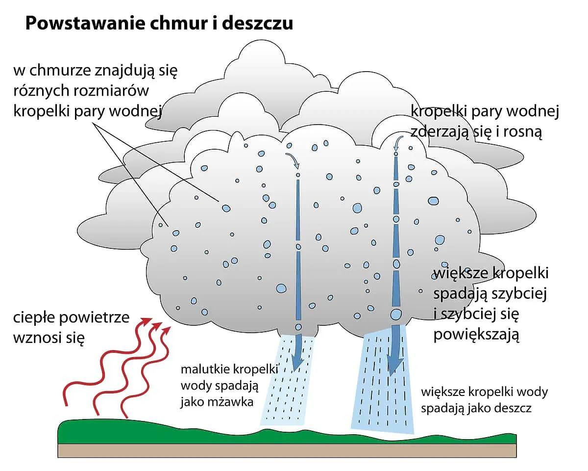 Zdjęcie Magiczny świat deszczu: jak powstaje dla ciekawskich przedszkolaków