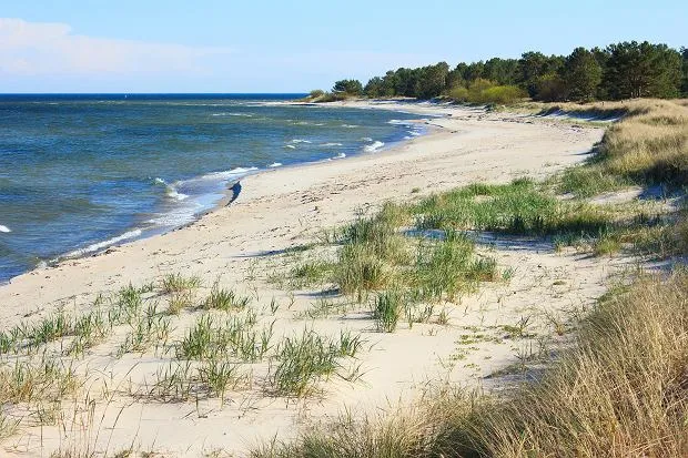Zdjęcie Ile Polska ma wysp na Bałtyku? Zaskakujące liczby i fakty
