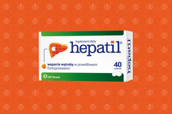 Zdjęcie Lek hepatil na co jest? Poznaj jego działanie i zastosowanie dla wątroby