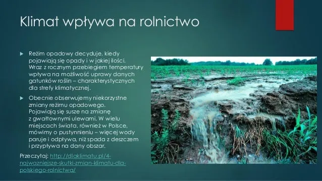 Zdjęcie Jak rzeźba terenu wpływa na klimat? Zaskakujące fakty i różnice