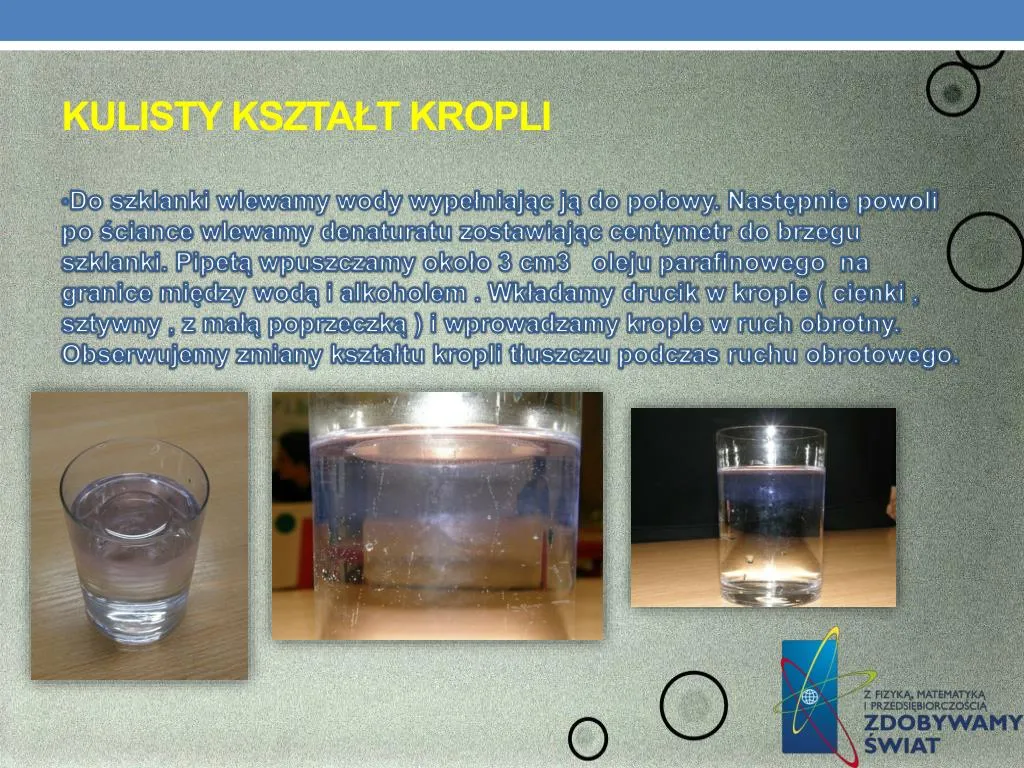Zdjęcie Zjawisko włoskowatości: jak działa kapilarność i jej znaczenie w przyrodzie