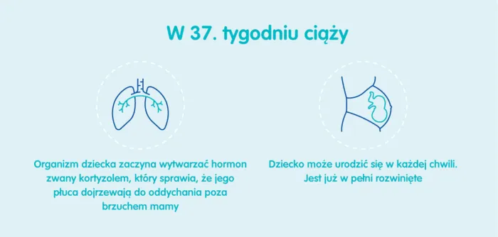Zdjęcie Objawy porodu w 37 tc – co musisz wiedzieć, zanim zacznie się akcja porodowa