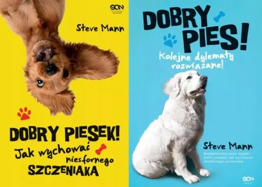 Zdjęcie Jak wychować niesfornego szczeniaka, aby był dobrym pieskiem w każdym domu