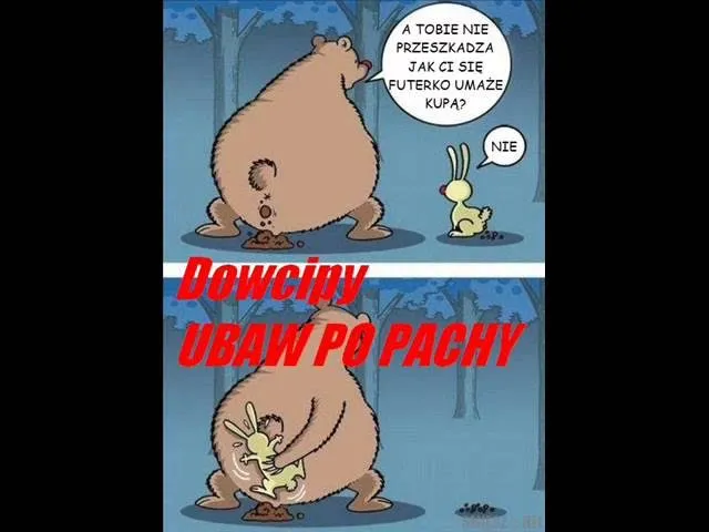 Zdjęcie Kawały o zajączku: Klasyka humoru, śmieszne dowcipy i 18+