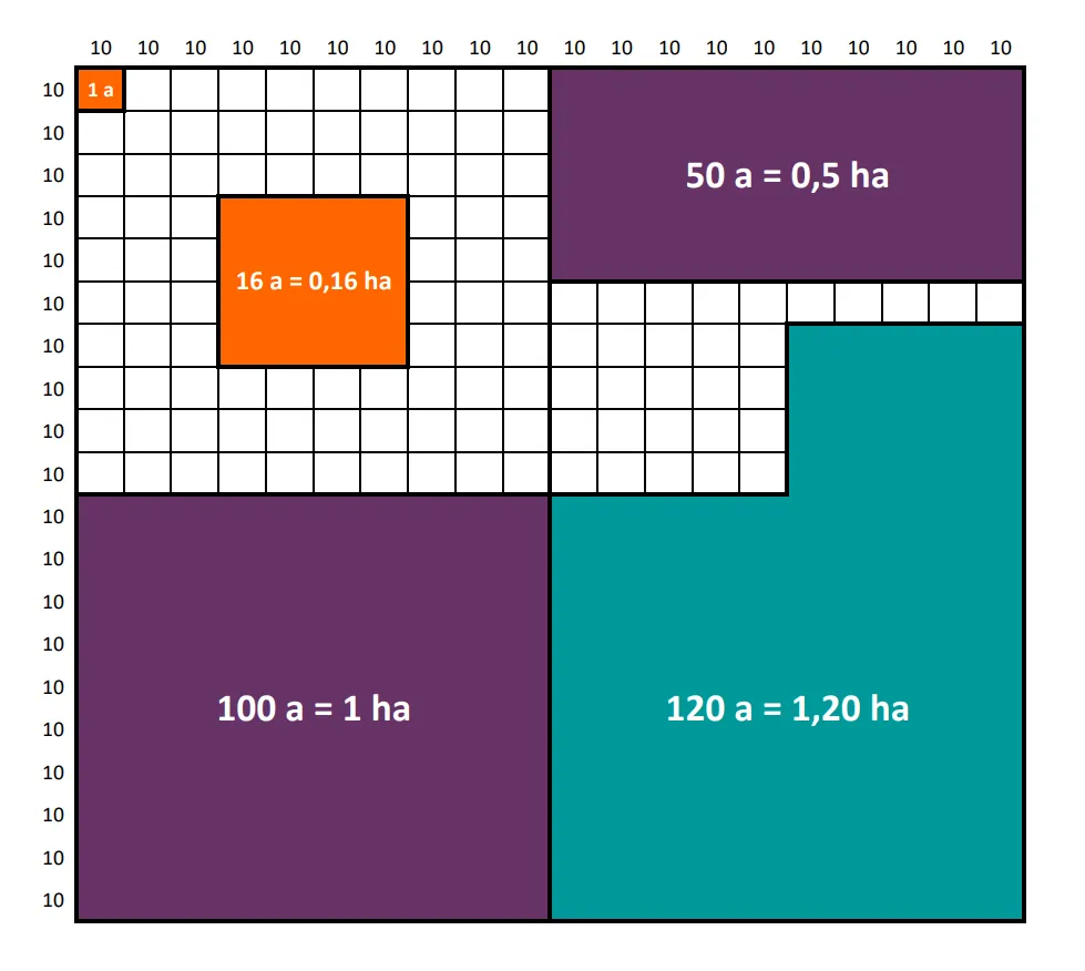 Zdjęcie 0,5 ha ile to m2? Szybkie przeliczenie hektarów na metry