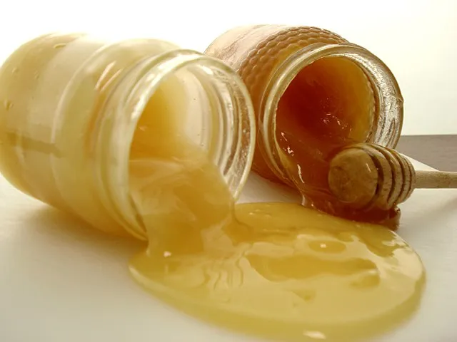 Zdjęcie Honey co to znaczy po polsku - poznaj znaczenie i kontekst tego słowa