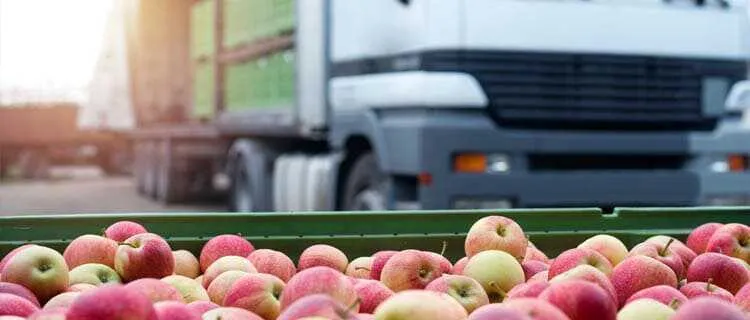 transport żywności szybko psującej się