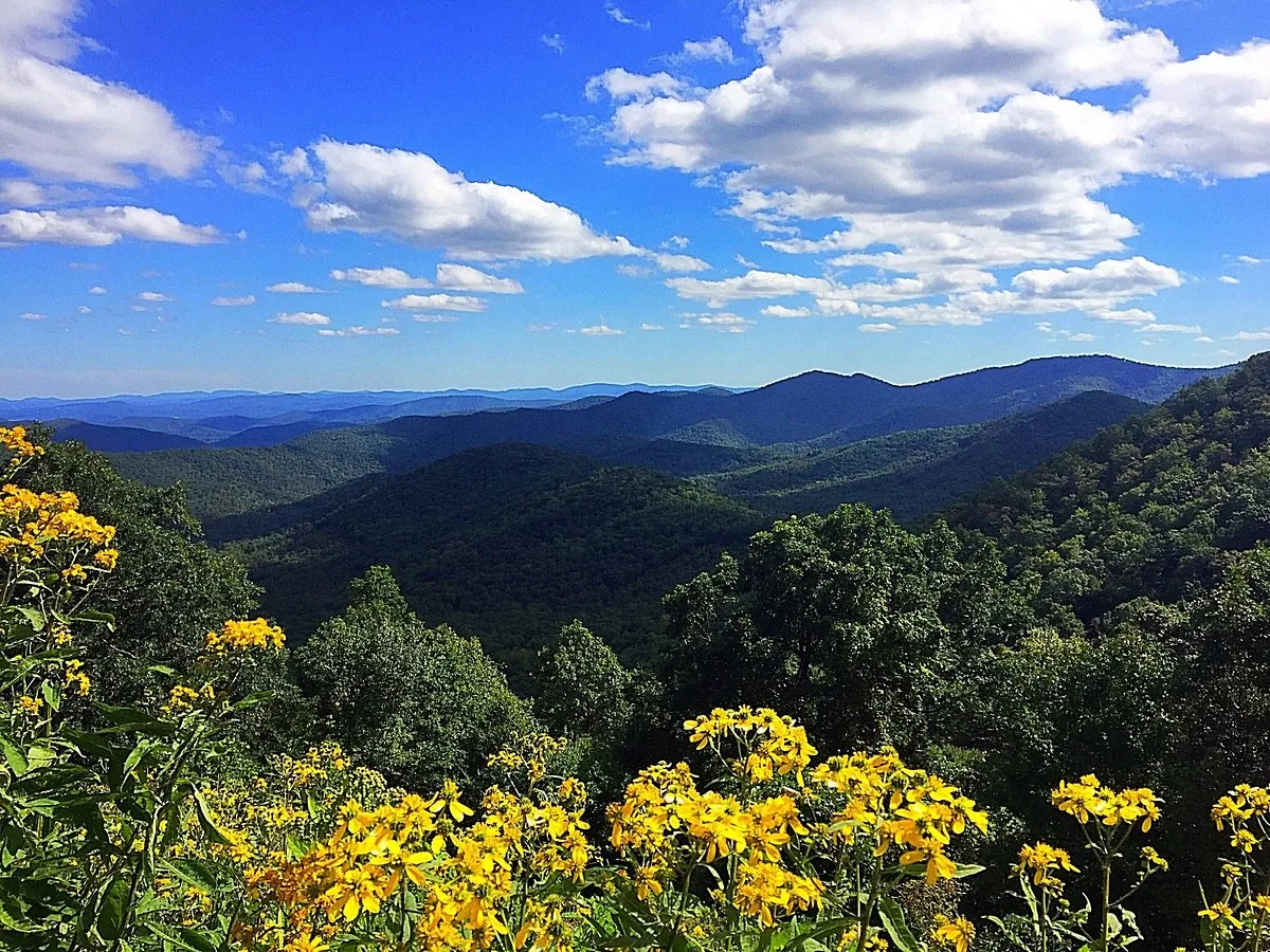 Blue Ridge Parkway punti panoramici