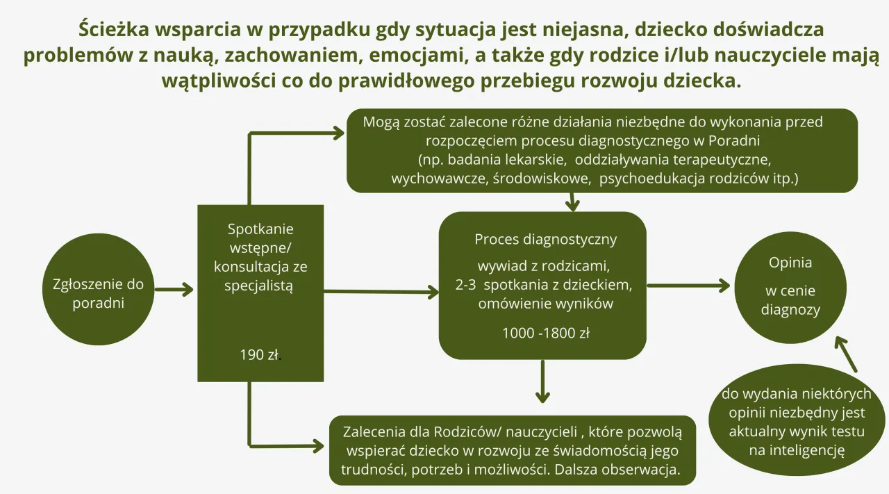 proces diagnozy psychologiczno-pedagogicznej