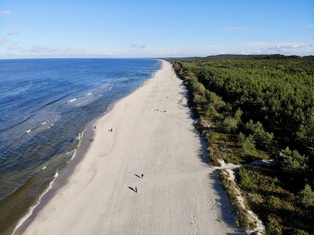 Plaże Krynica Morska Biała Plaża i dzika plaża