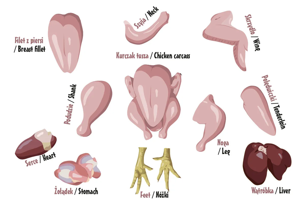 części tuszy indyka i kurczaka