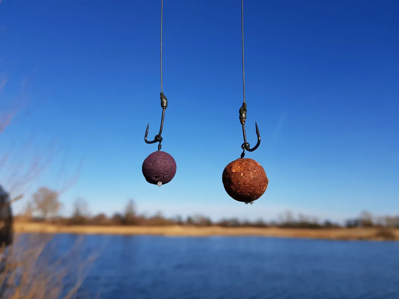 Dwa haczyki z kulkami proteinowymi wiszą nad wodą. To podstawa, jak łowić na kulki proteinowe, by złapać okaz.