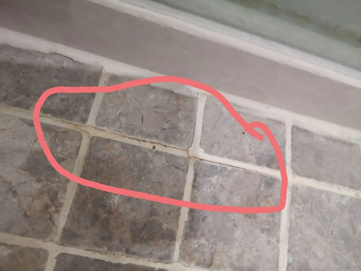 Pękające fugi na podłodze przyczyny