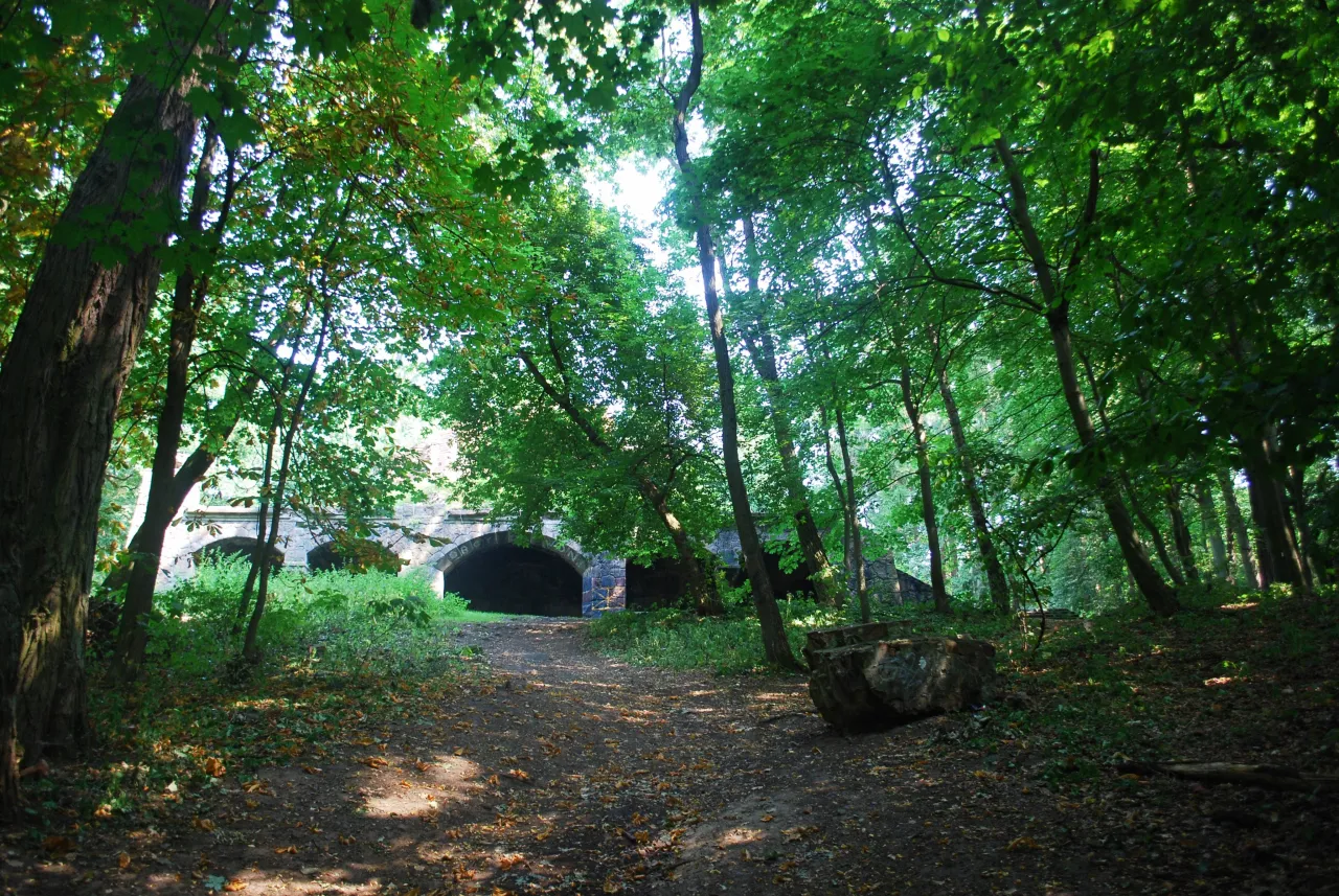 Park Leśny Arkoński Szczecin