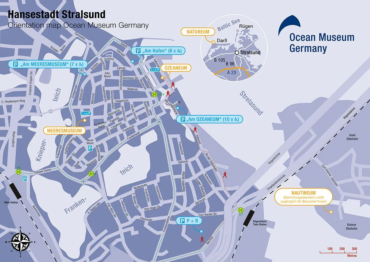 Ozeaneum Stralsund cennik 2024