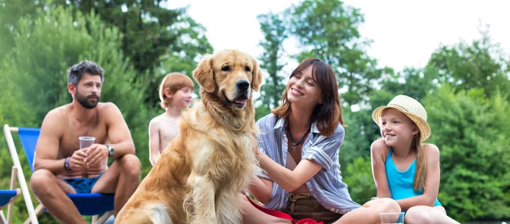 szczęśliwa rodzina z dziećmi i psem rasy golden retriever bawiący się na trawie