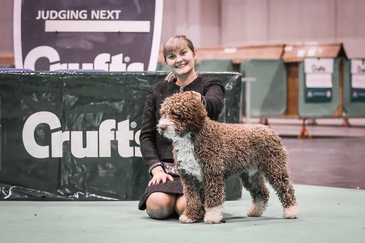 Pies na wystawie z handlerem