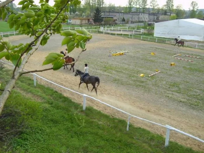 stadnina koni ruda śląska mapa