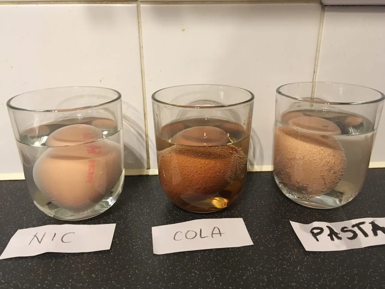 Eksperyment jajko ocet pasta do zębów efekt