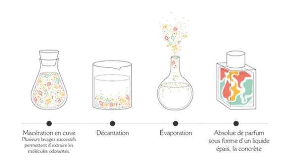 Absolu de Parfum Extraktionsprozess oder bl&uuml;hende Rohstoffe