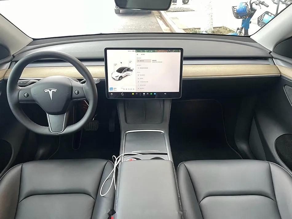 wnętrze tesla minimalistyczne ekran